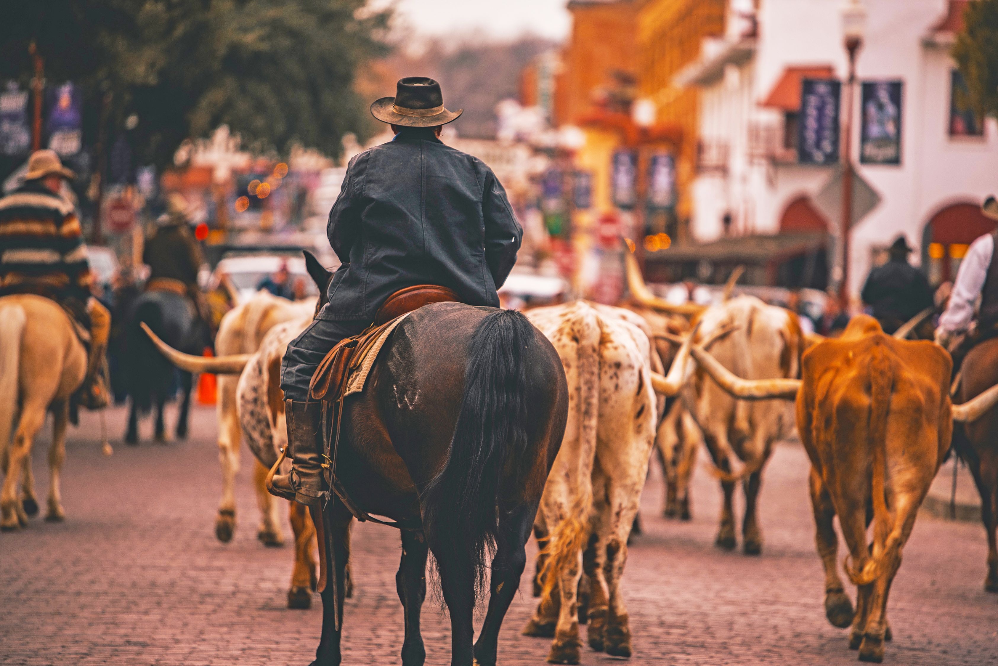 Stockyards Cattle Drive