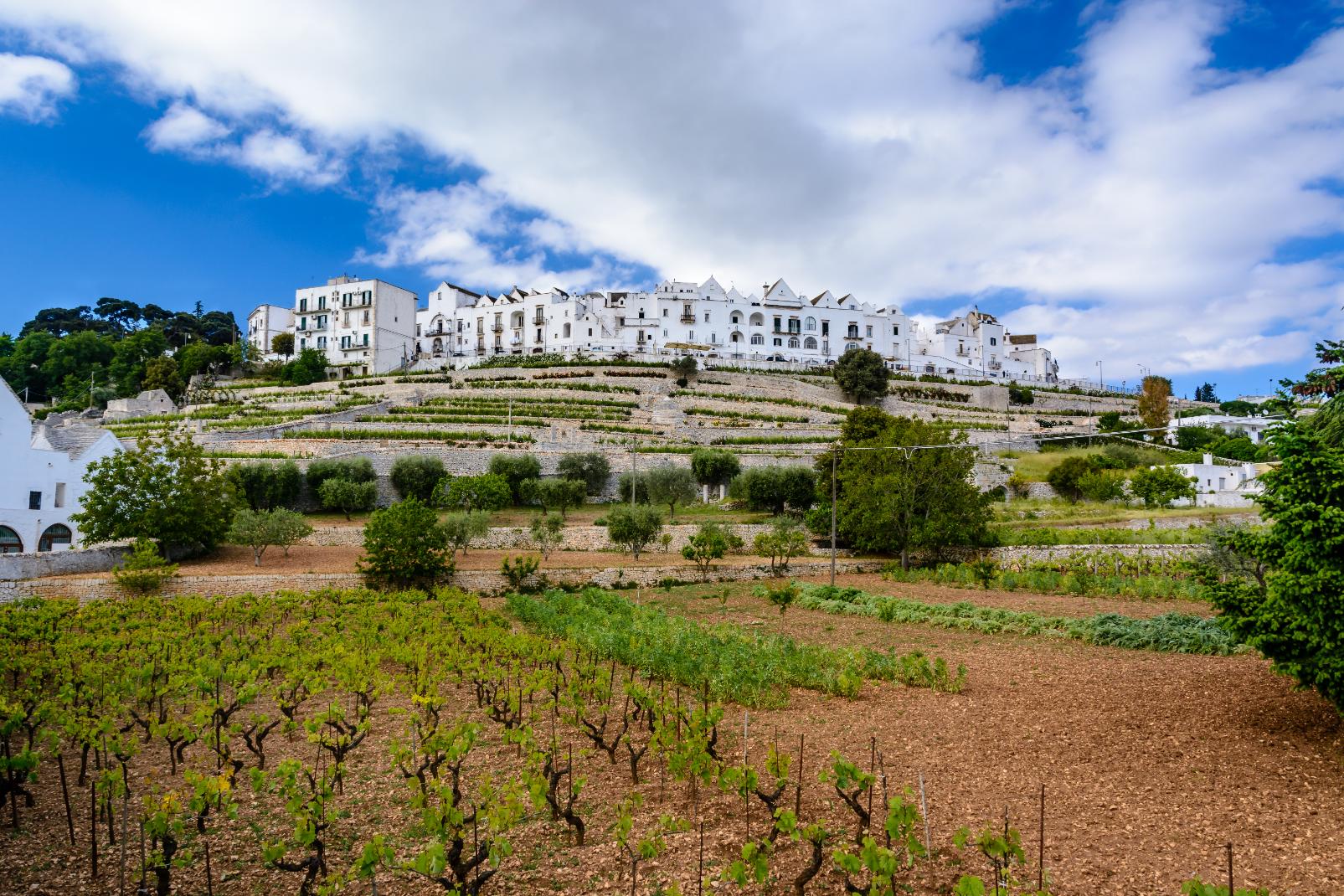 Locorotondo, Puglia, Italy