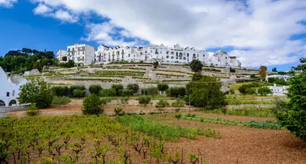 Locorotondo, Puglia, Italy