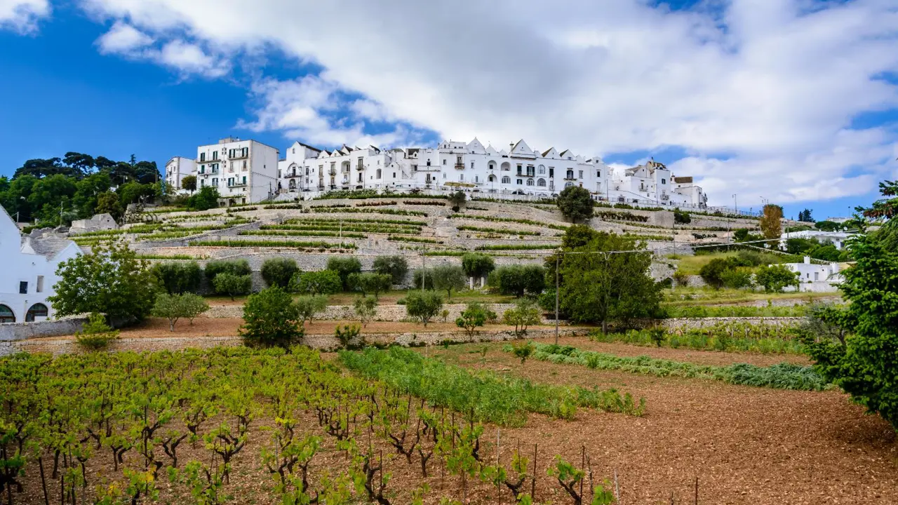 Locorotondo, Puglia, Italy