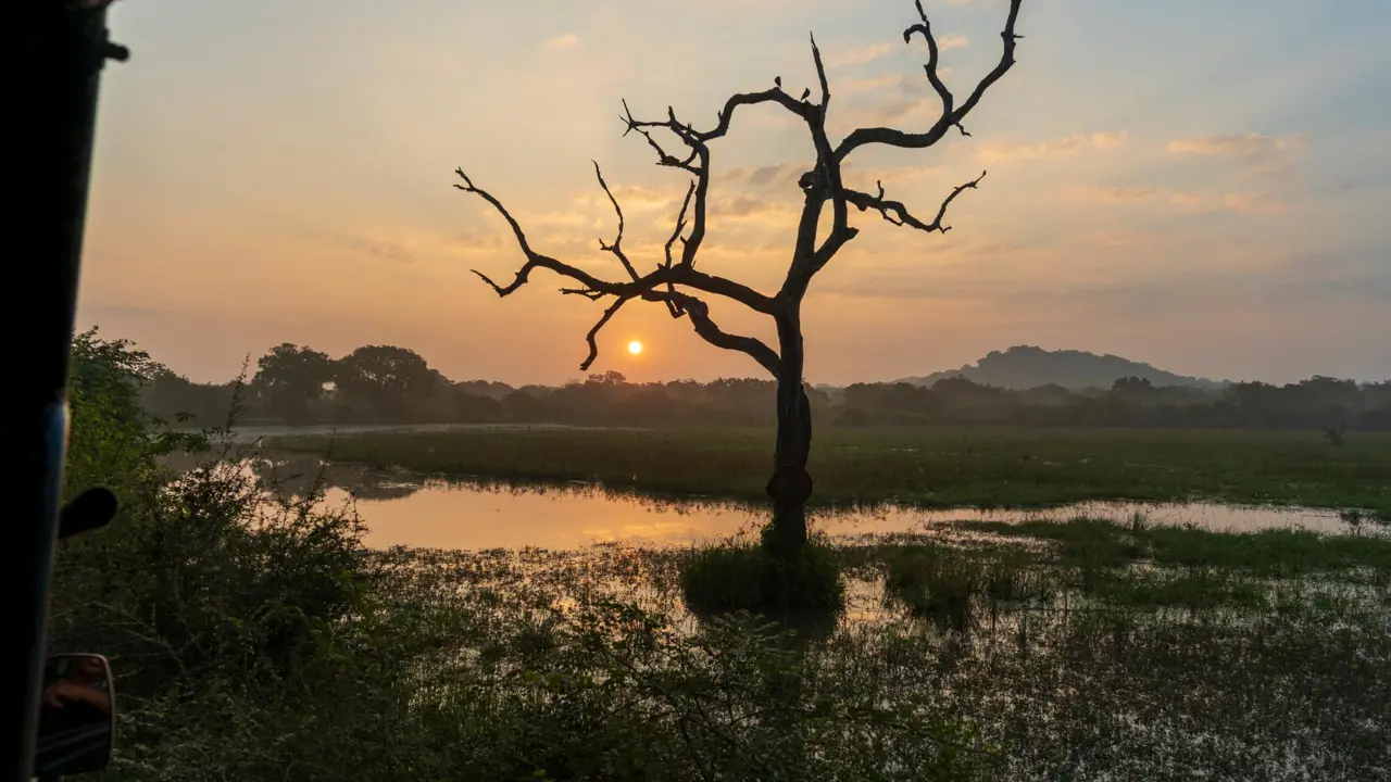  Sunset in Yala National Park, Sri Lanka