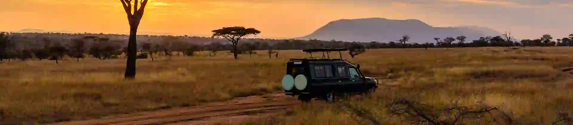 Game drive, Limpopo
