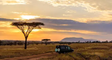 Game drive, Limpopo