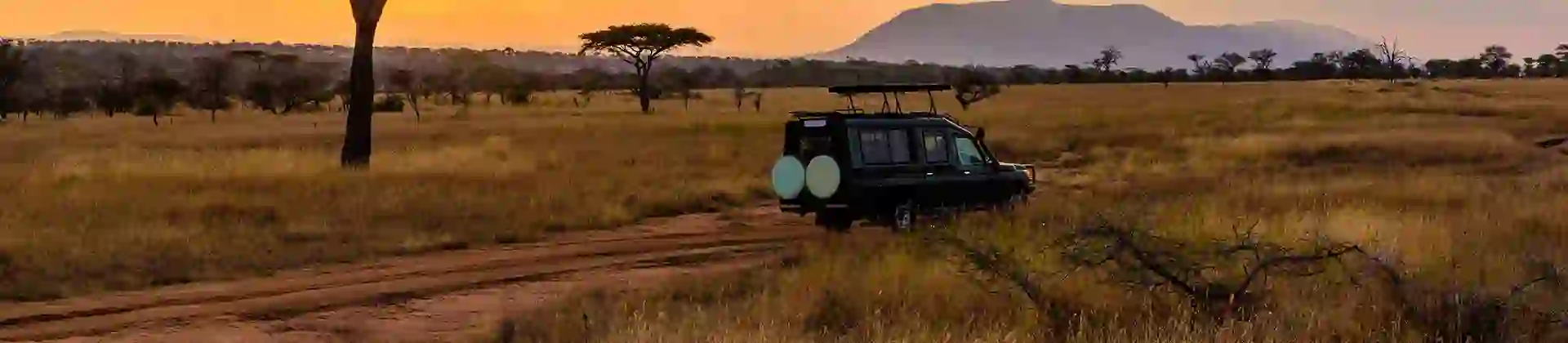 On Safari, Limpopo