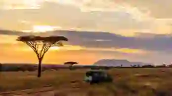 Game drive, Limpopo