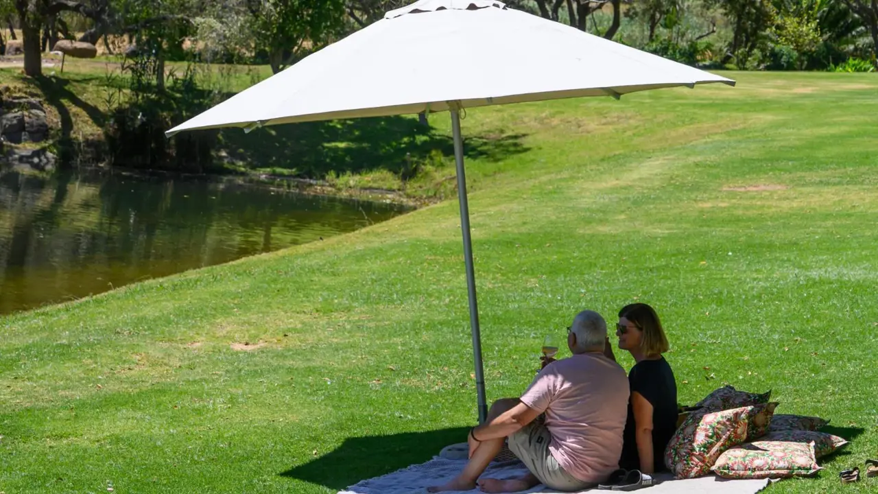 Webersburg Wine Estate, Stellenbosch, harvest picnic