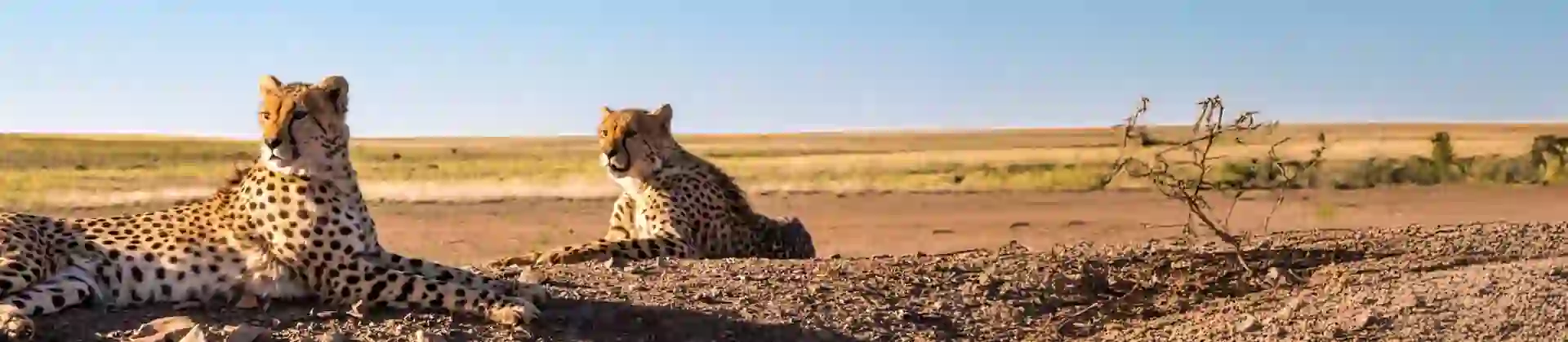 1 Adobestock 246420748 EXTENDED (1)