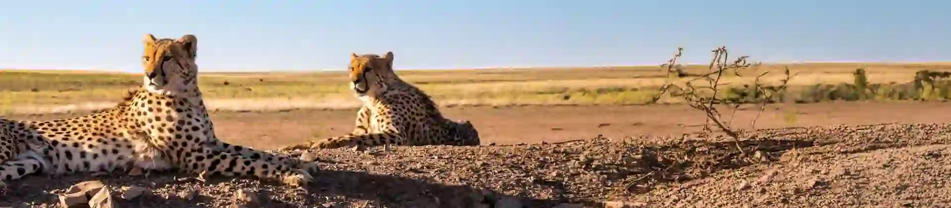 1 Adobestock 246420748 EXTENDED (1)