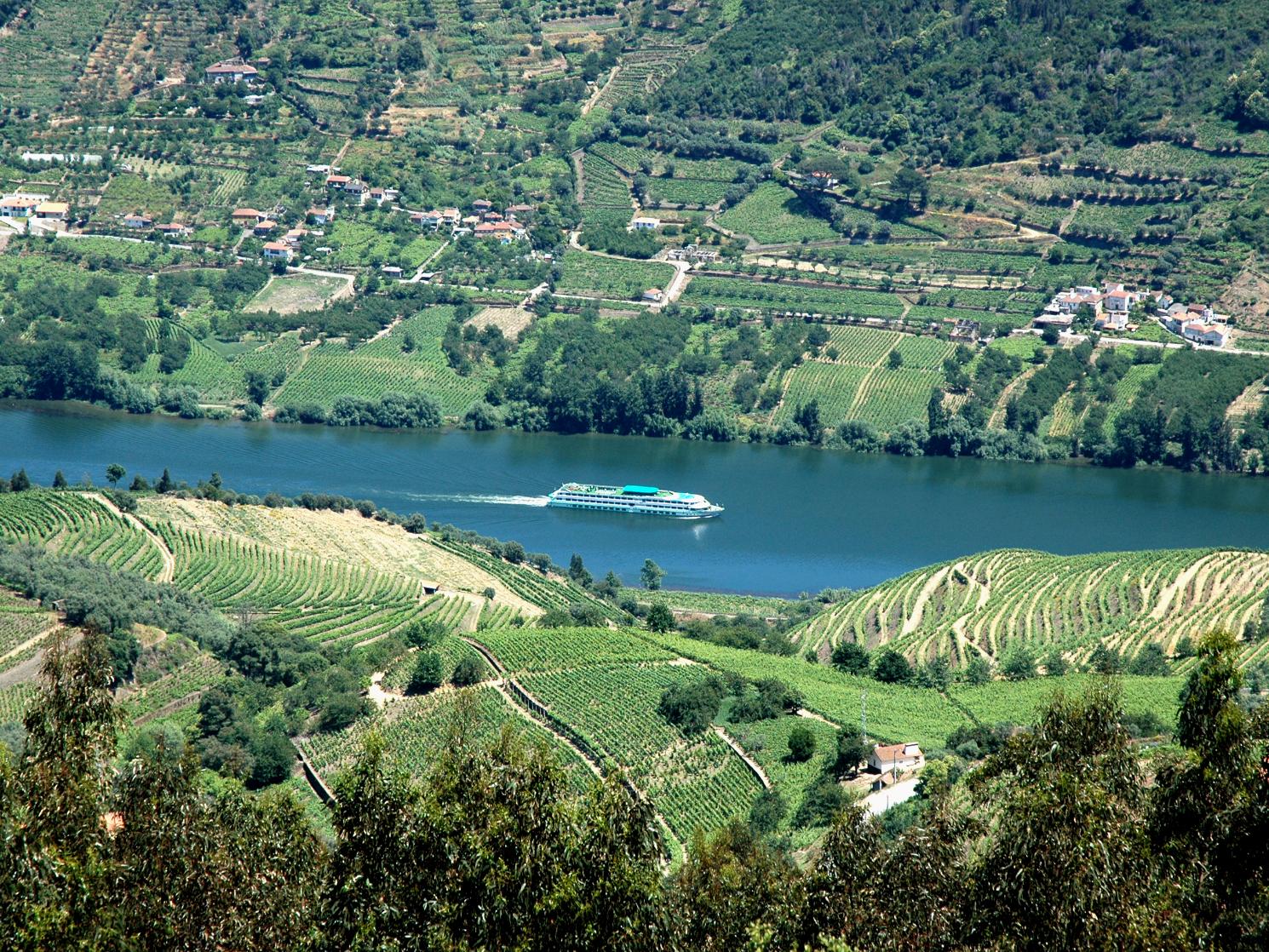 Douro Valley, Portugal