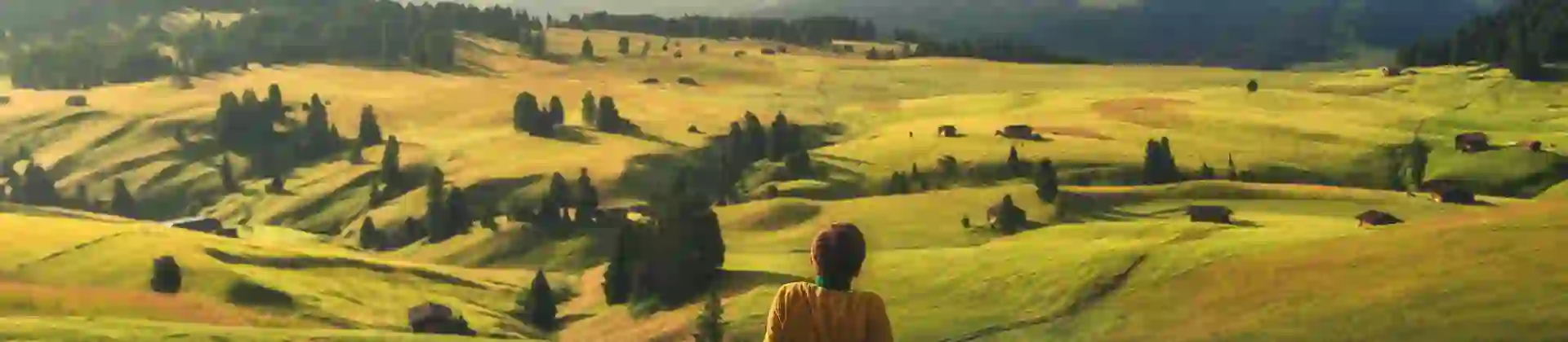 Shot of the back of a man sat looking out on the mountains of the Austrian Tyrol, covered in grass and fir trees dotted all over. In the distance, silhouettes of large mountains