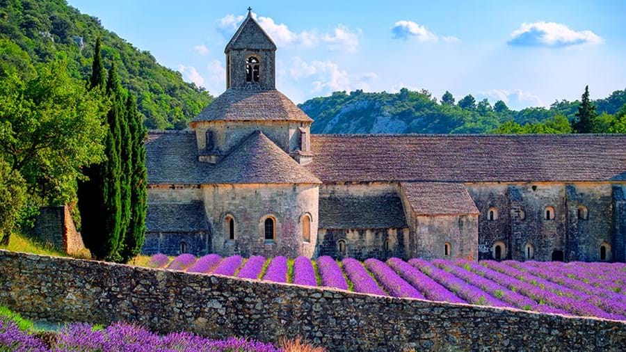 View of a wide, grey, stone church with rows of lavender in front of it, all behind a grey bricked wall. To the left, a grassy hill and some trees