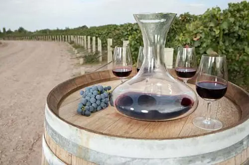 Gettyimages 102071340 Malbec Red Wine In Mendoza Vineyard