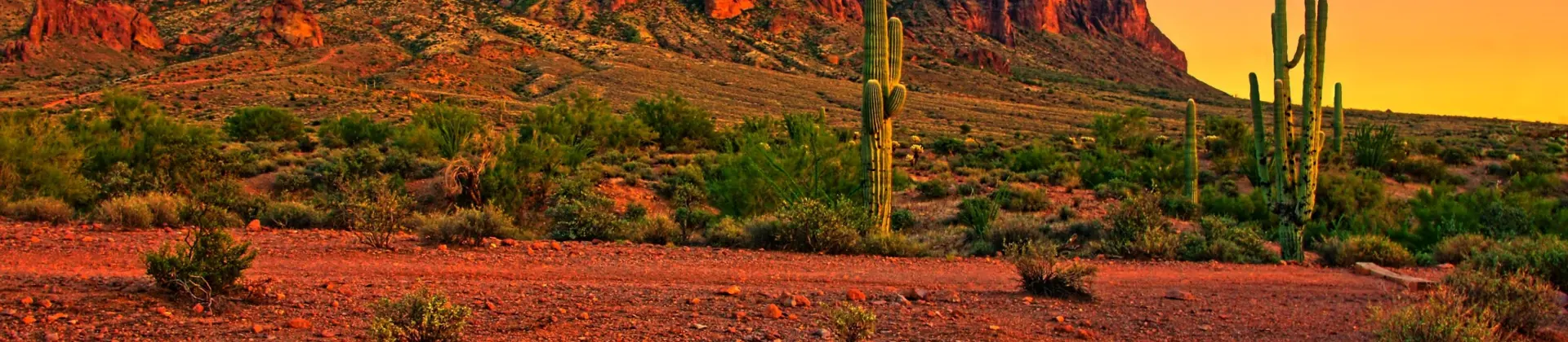 Scottsdale, Arizona
