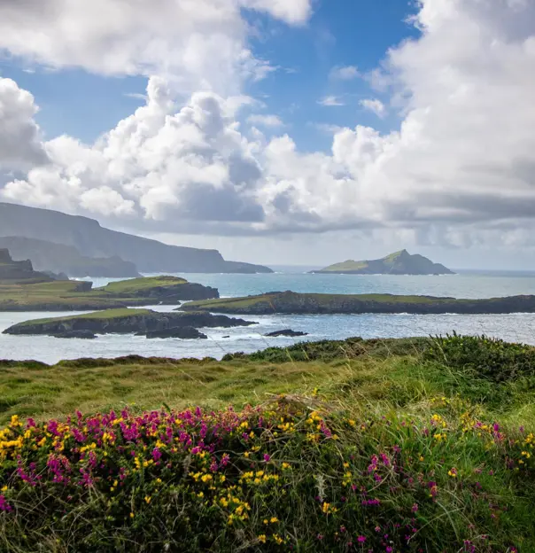 View of Killarney Cliffs, Ring of Kerry, County Kerry, Ireland
