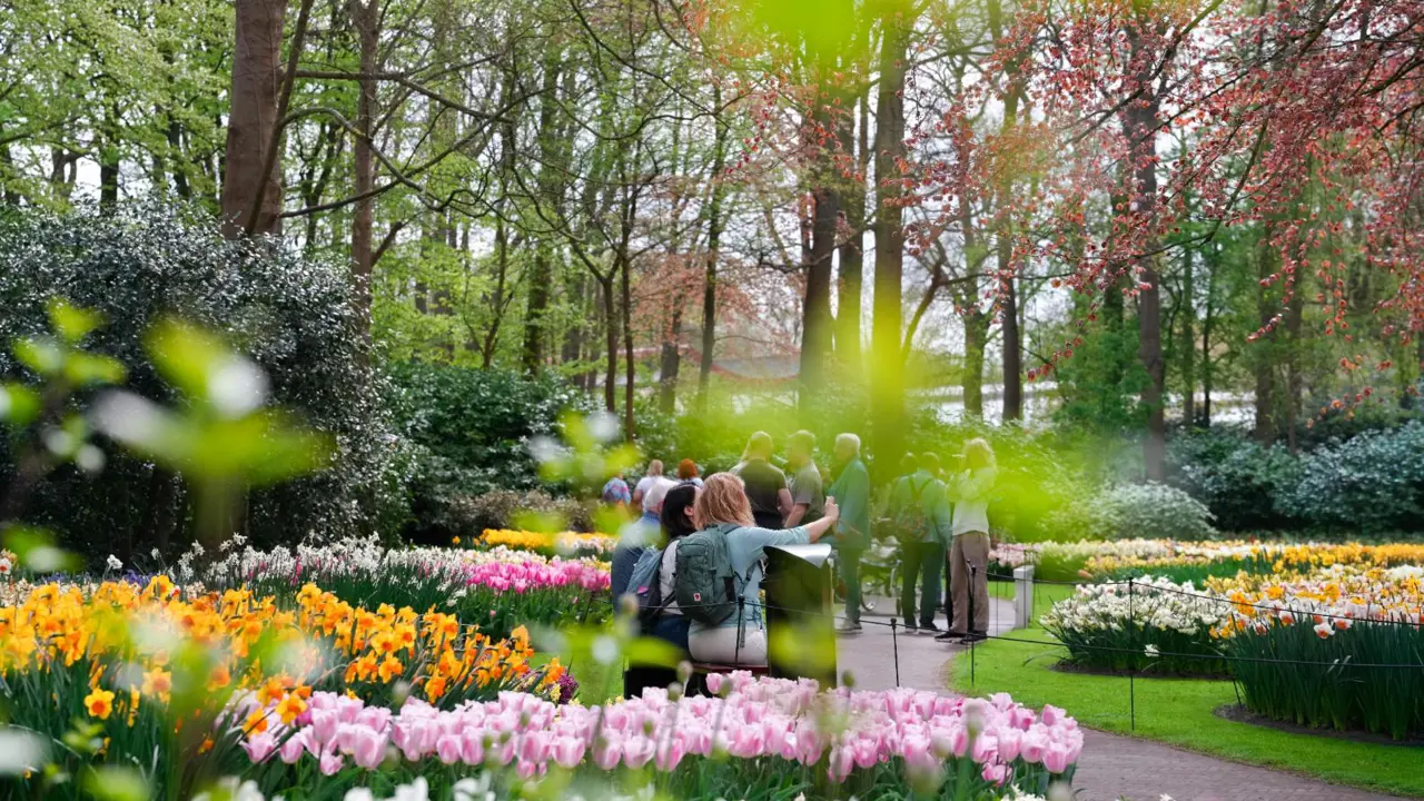 Keukenhof Gardens