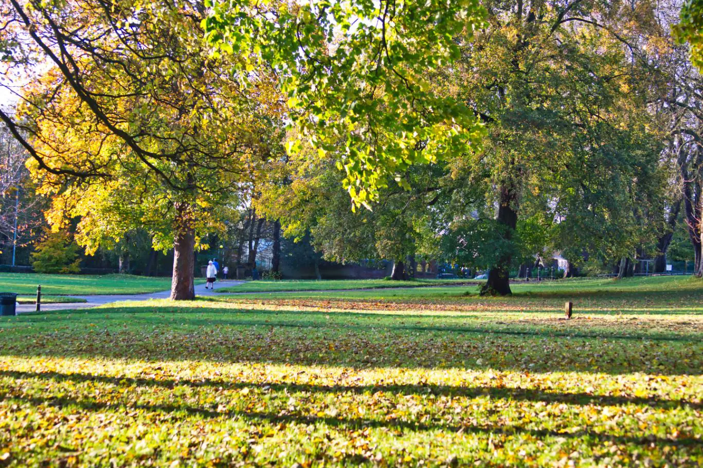 Luton Park