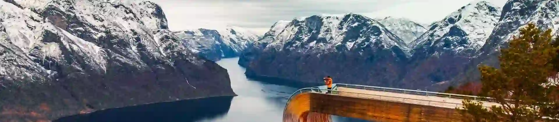 An image man standing on Stegastein Viewing Platform overlooking the fjord