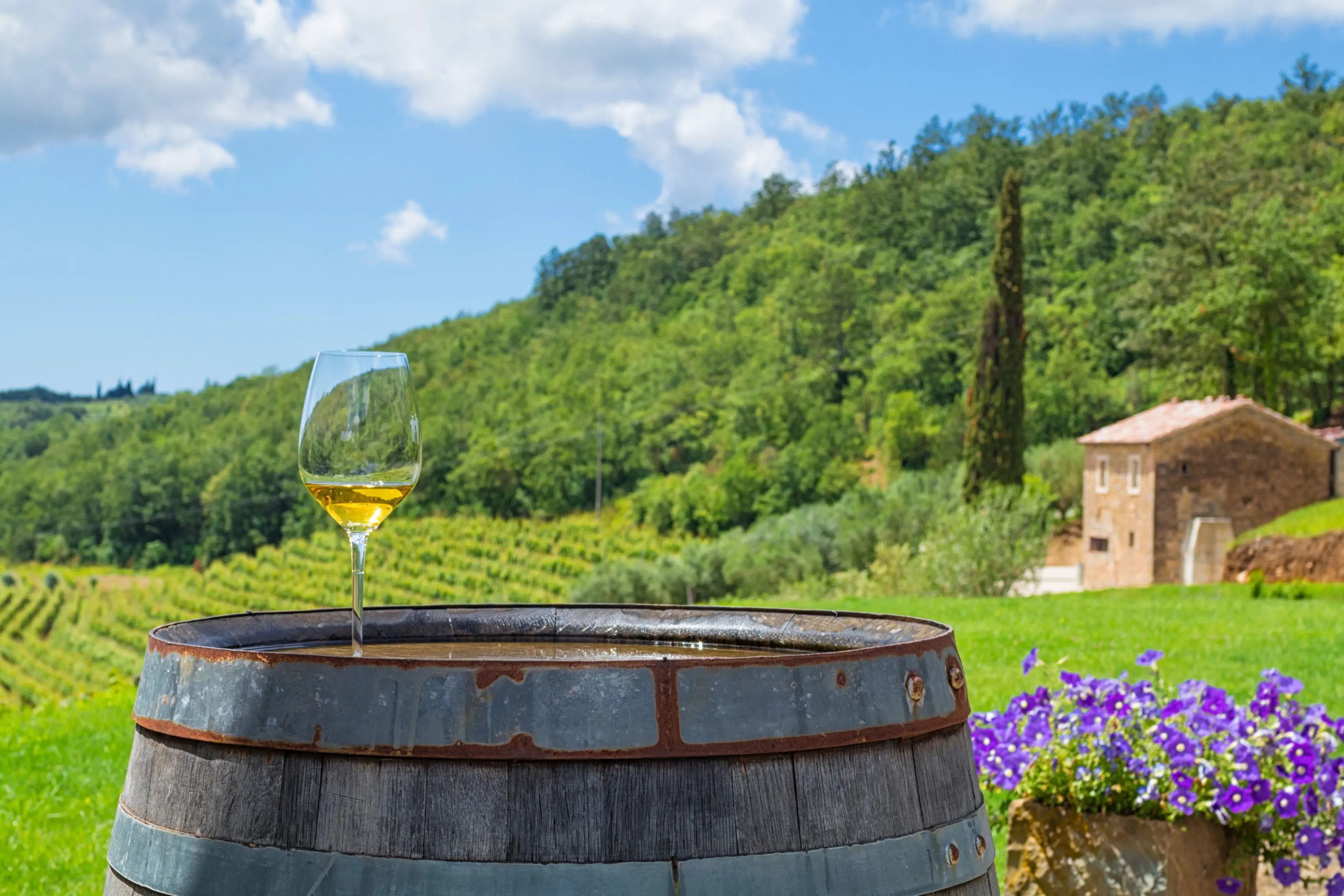 A glass of white wine on a wooden barrel, with a pot of purple flowers next to it on the right. Behind this is a field and mountainous landscape covered in trees. The sky is blue with some clouds.