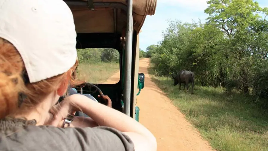 Yala National Park