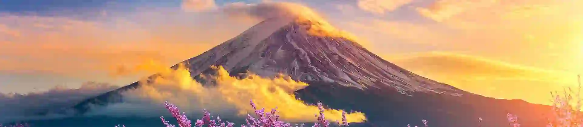 Mount Fuji in the warm glow of an orange sunset, with soft clouds drifting across the sky and pink cherry blossoms in full bloom framing the foreground