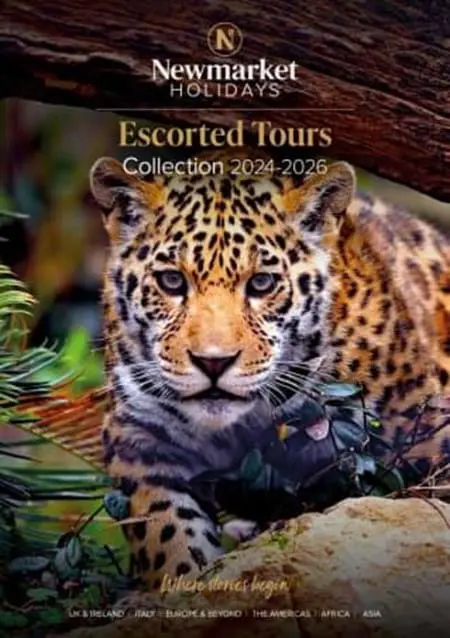 Brochure 26