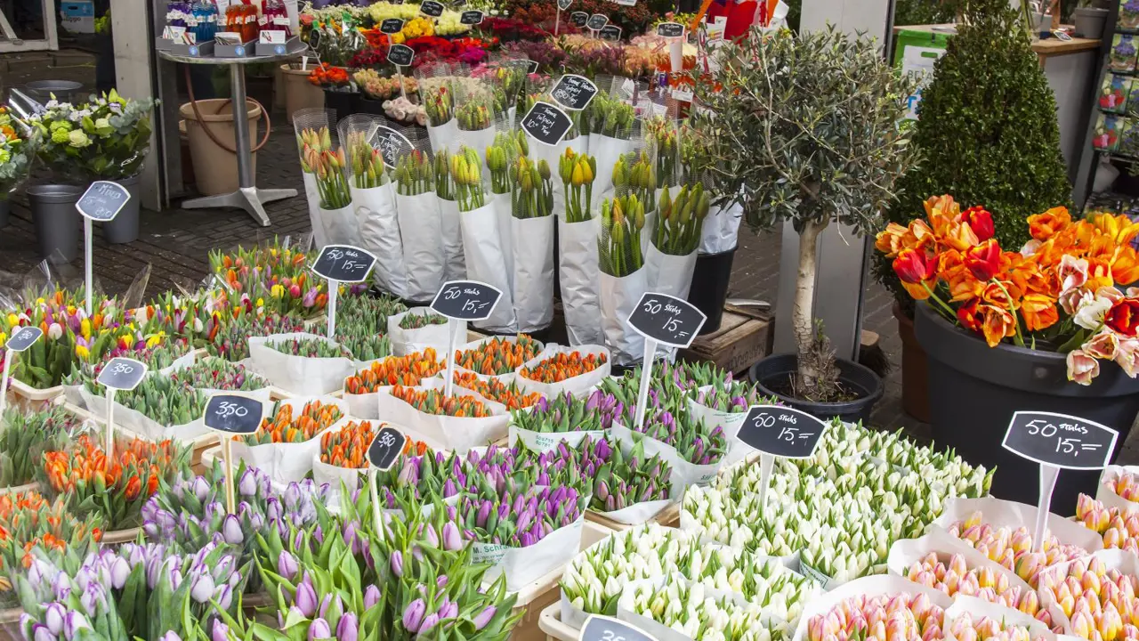 Flower market, Amsterdam