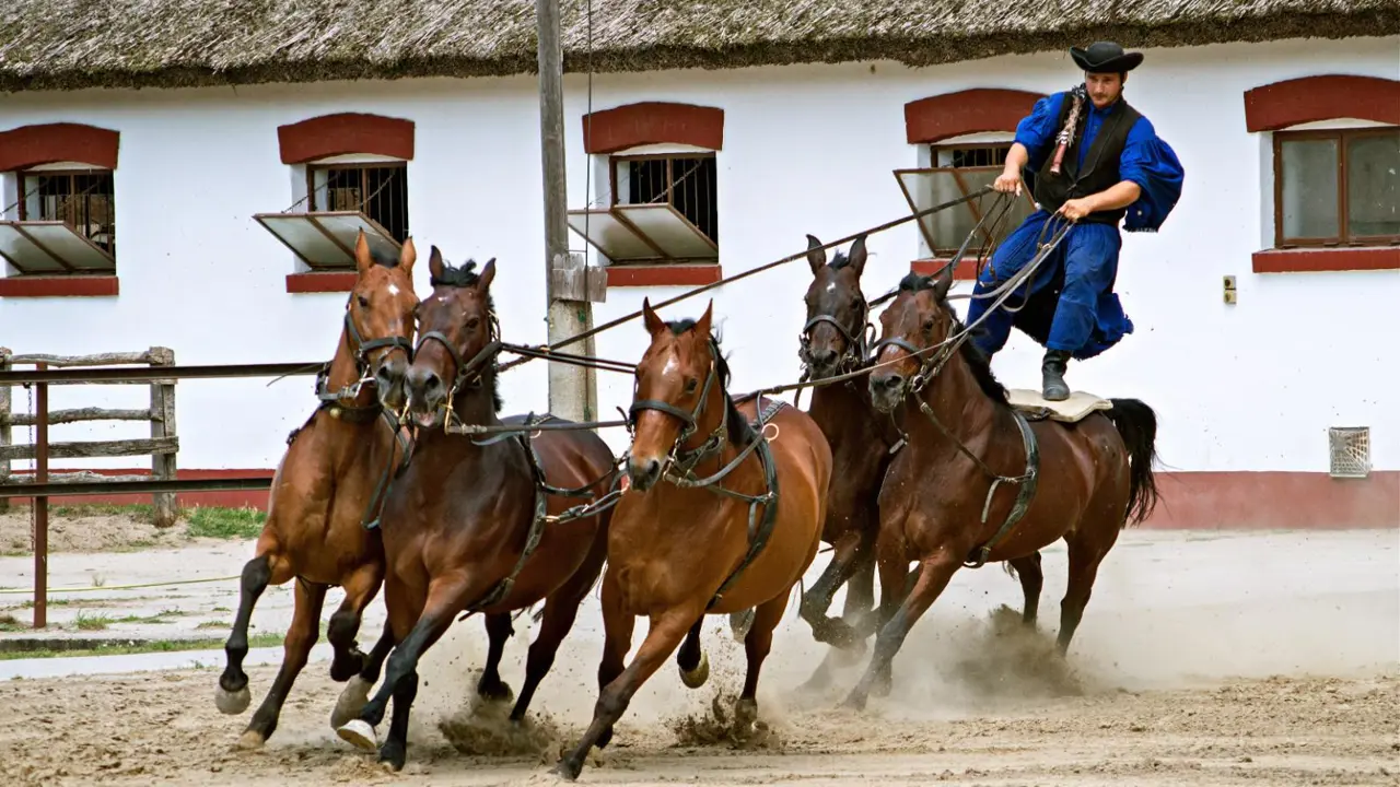 Csikós Equestrian Show, Hungary