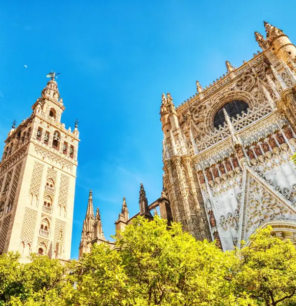 Looking up at Seville Cathedral in Spain on a sunny day, showcasing its detailed Gothic architecture against a clear blue sky