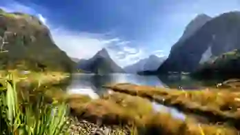 Shutterstock 625139492Milfordsounds