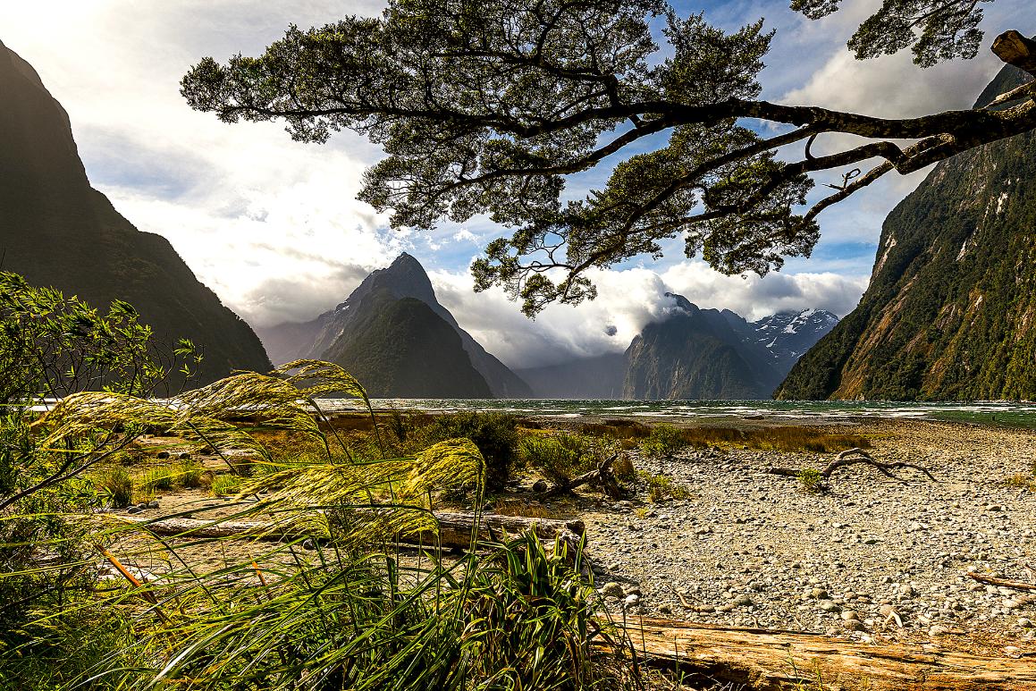 Milford Sound, New Zealand