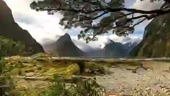 Milford Sound, New Zealand