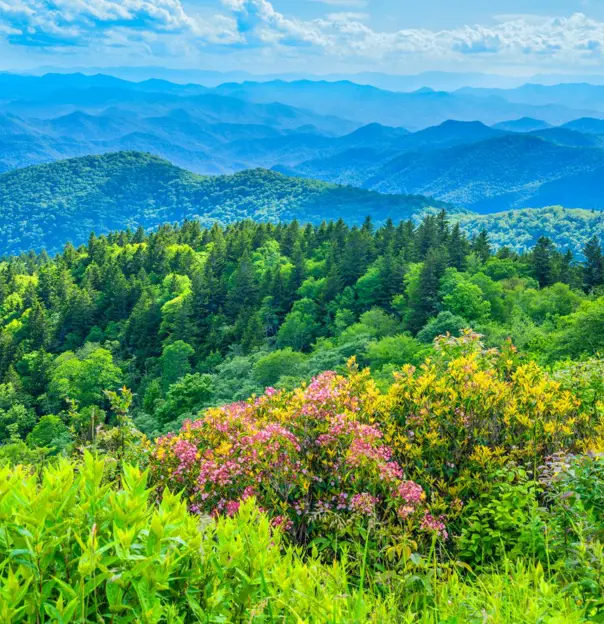 Smoky Mountains from the Blue Ridge Parkway, North Carolina