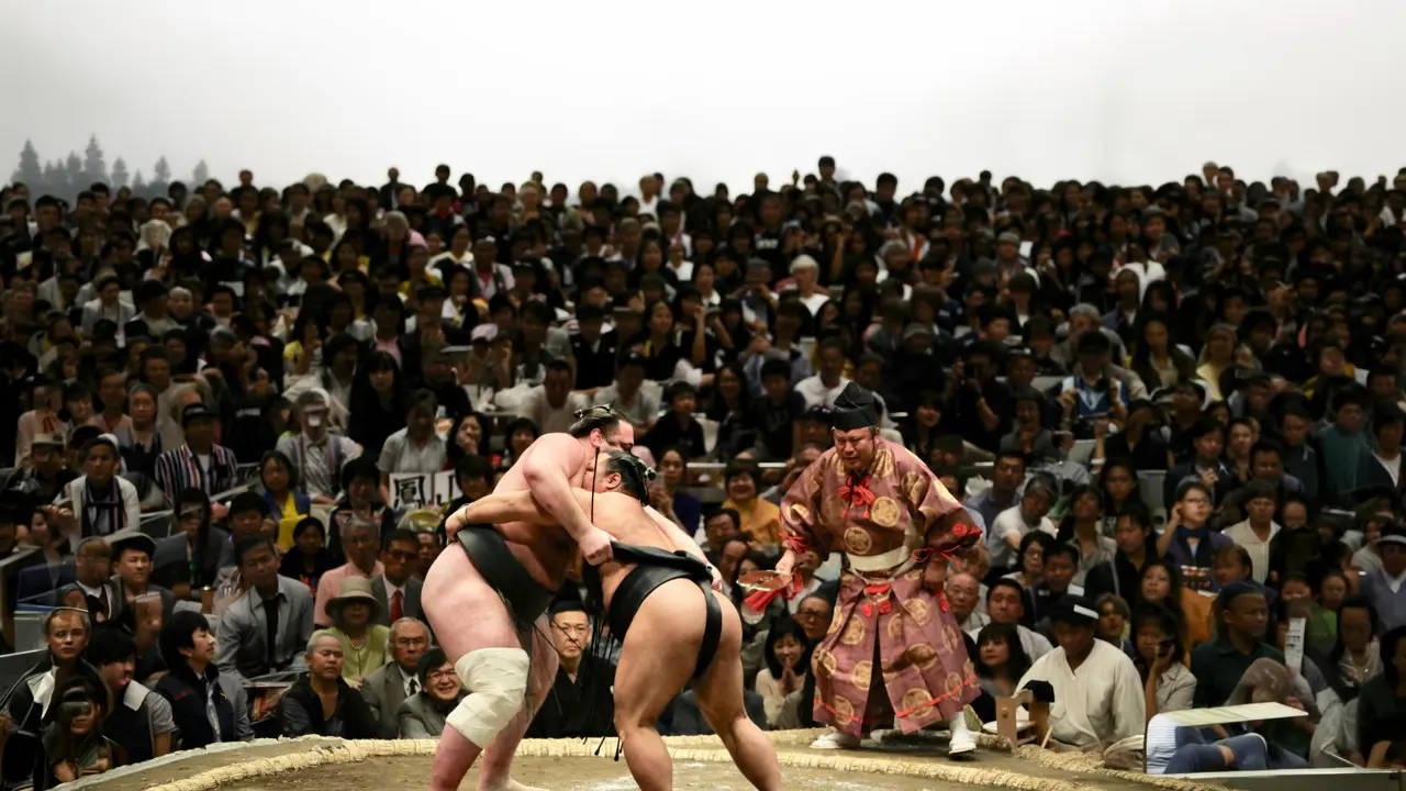 Sumo wrestling
