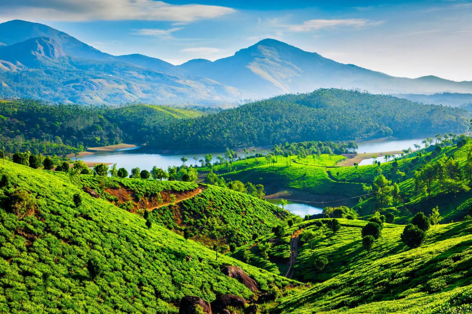 Tea plantations cover rolling green hills near a winding river, with forested slopes and mountains in the background near Munnar, Kerala, India