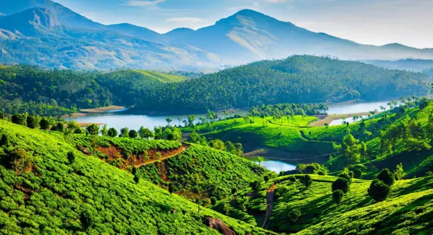 Tea plantations cover rolling green hills near a winding river, with forested slopes and mountains in the background near Munnar, Kerala, India