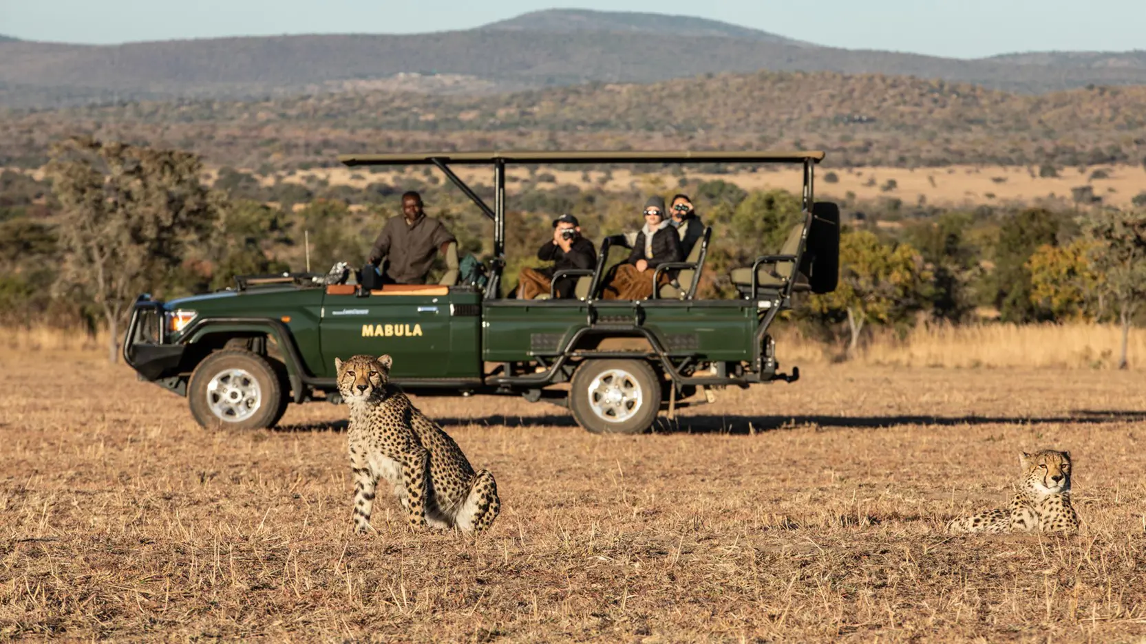 Mabula Game Lodge spotting cheetah on a game drive