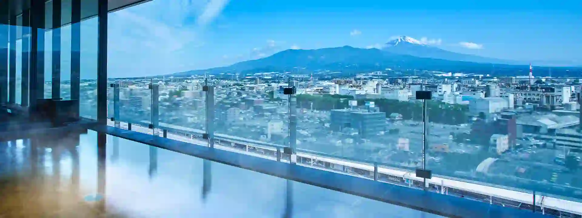Fujisan Mishima Tokyu Hotel, Mishima, view