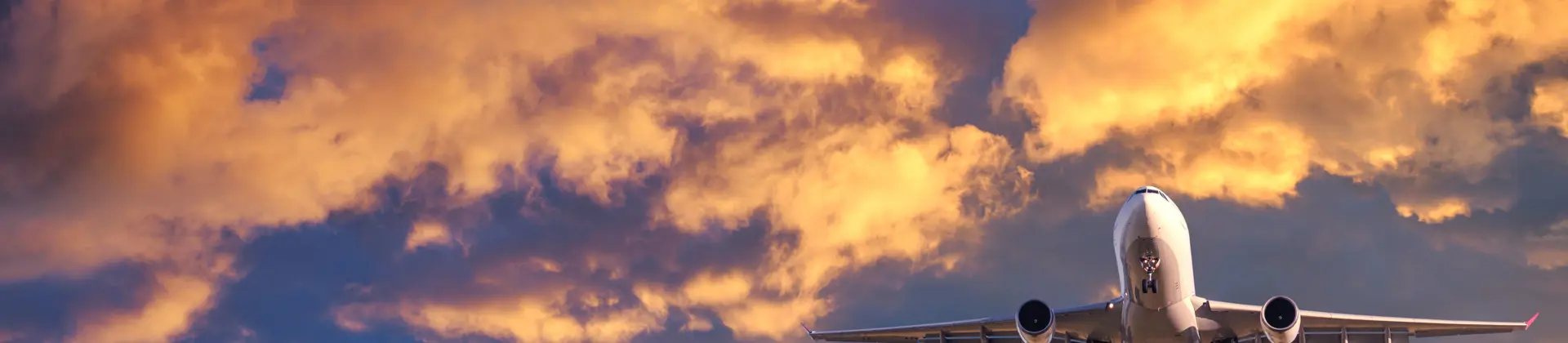 Airplane in the sky 