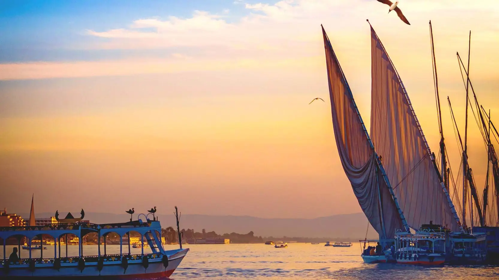 Feluccas at sunset