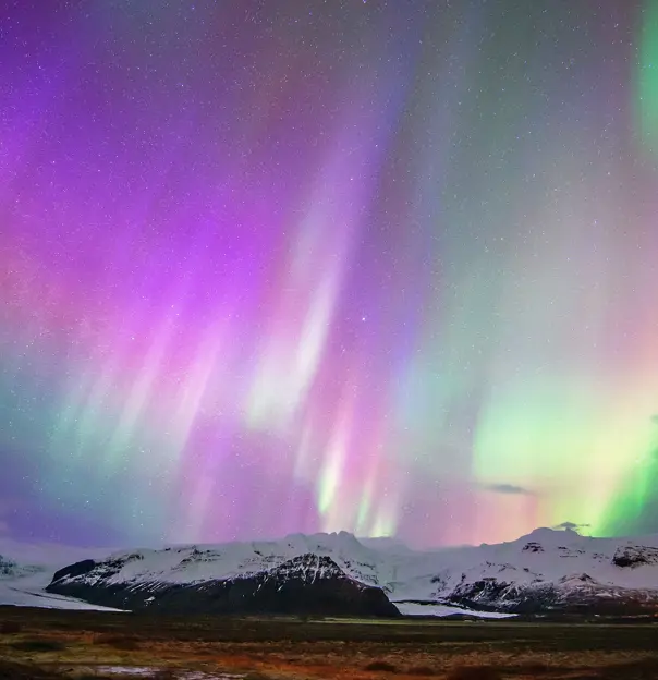 Purple Northern Lights with hints of green, and snowy land below