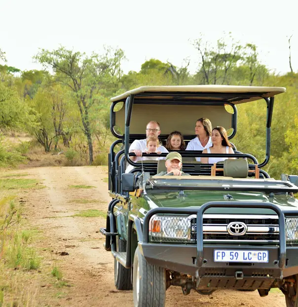 Safari Plains Morning Safar