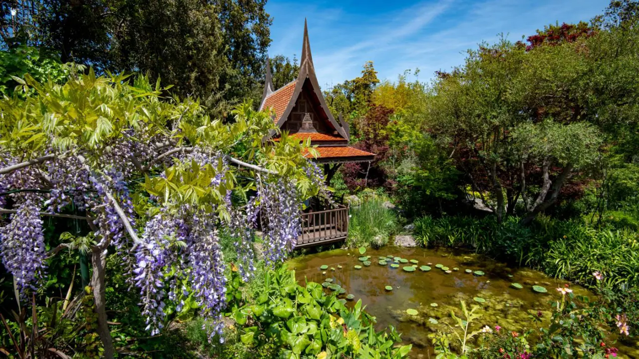  La Mortella Garden, Ischia Island