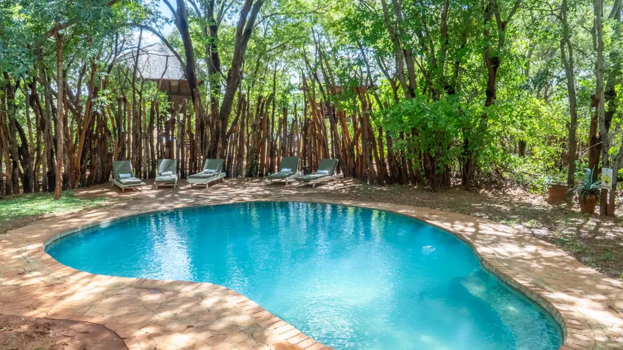 Ivory Safari Lodge, Hwange National Park, pool