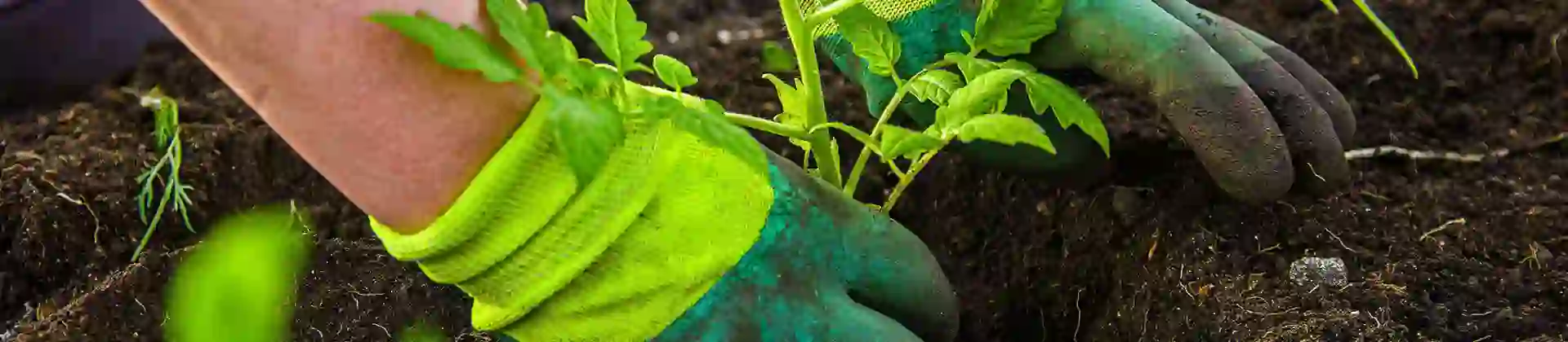 2000X1400 8 In House Sh 1725536203 1