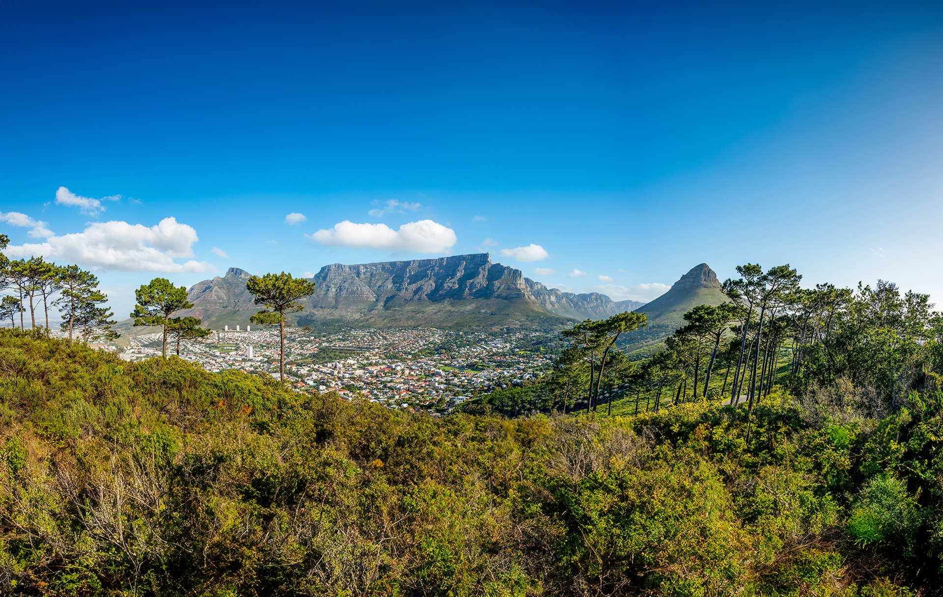 Table Mountain, Cape Town