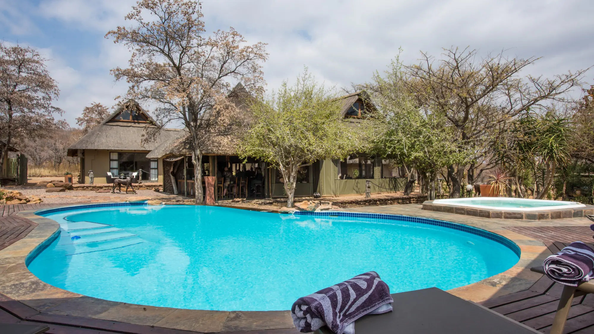 On Safari in South Africa - Elephant Lodge