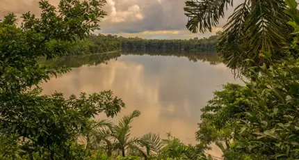 Lake Sandova, Tambopata National Reserve