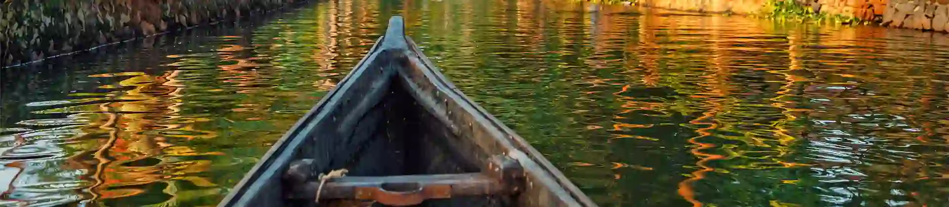 View from a canal boat on a river in Kerala, with the trees lining the banks, bathed in golden light