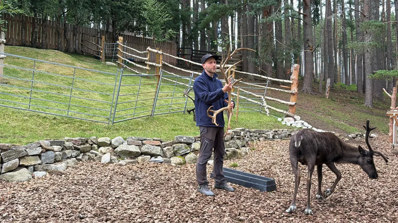 Cairngorm Reindeer Centre