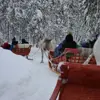 Staff Stories An Enchanting Day Trip To Santas Lapland 3